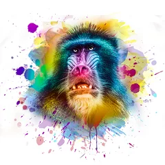 Deurstickers colorful artistic monkey muzzle with bright paint splatters on white background color art © reznik_val