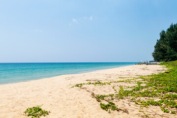 Tropical beach in south of Thailand, empty clean sandy beach, summer outdoor day light