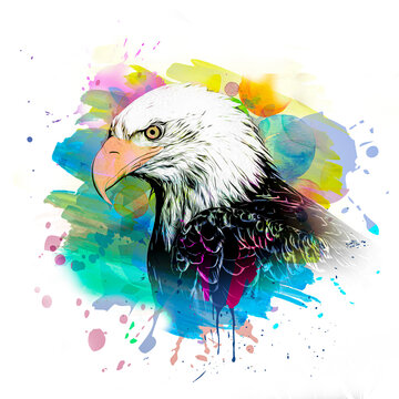 Colorful artistic eagle muzzle with bright paint splatters on dark background