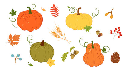 Autumn set with pumpkin, twigs, leaves, acorn, wheat, fir cone, berries, Rowan, viburnum. Autumn sticker set. Hand draw autumn vector flat set.
