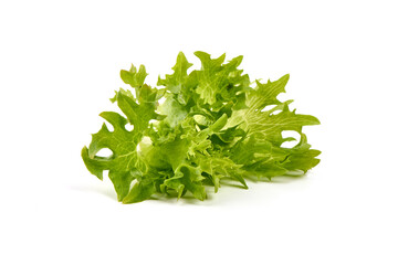 Lettuce Salad leaves, isolated on white background.