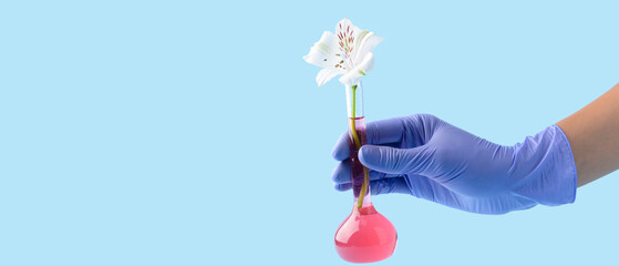 Hand of scientist holding glassware with flower on blue background