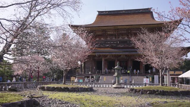Kinpusenji Kuromon Zho Hall in Spring, Sakura blooming over Buddhist Site