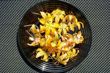 Background, flowers of curly lily on a black plate. cut buds