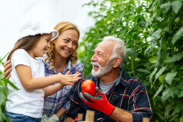 Grandfather growing organic vegetables with family at bio farm. People healthy food concept