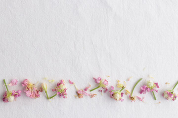 Floral pattern made of pinkflowers on white background. Flowers pattern texture