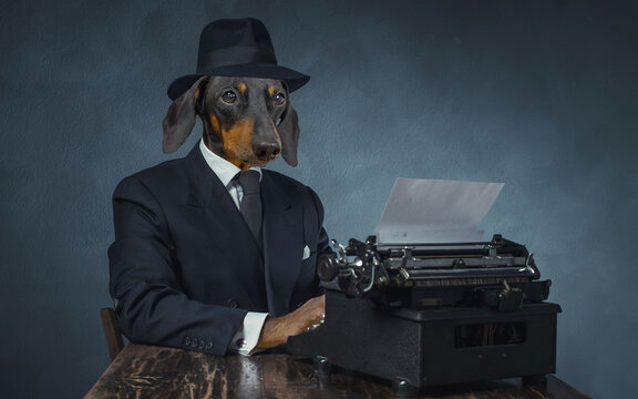Animals in clothes. People with animal heads. Concept art, photo manipulation for covers, advertisements, clothing prints and more. A beautiful dog busy writing with a scribing machine