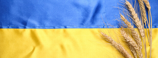 Wheat spikelets on Ukrainian flag