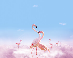 Two flamingos stand in pink clouds - dreaming composition © Sergey Novikov