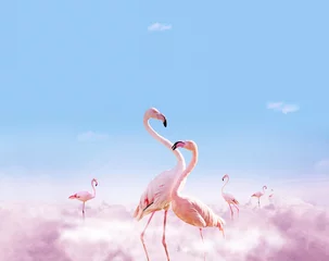 Gardinen Zwei Flamingos stehen in rosa Wolken - träumende Komposition © Sergey Novikov