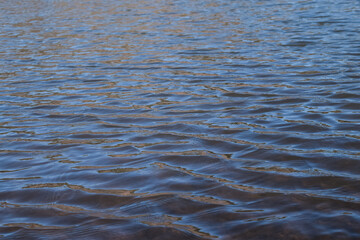 Ondas del agua en un lago