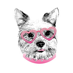 Yorkshire Terrier portrait, Cute dog in glasses with diamonds, Vector illustration
