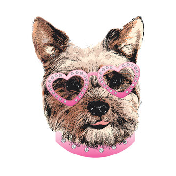 Yorkshire Terrier portrait, Cute dog in glasses with diamonds, Vector illustration