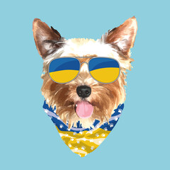 Yorkshire Terrier portrait, Cute cool dog in Ukraine flag glasses and bandana, Vector illustration - obrazy, fototapety, plakaty