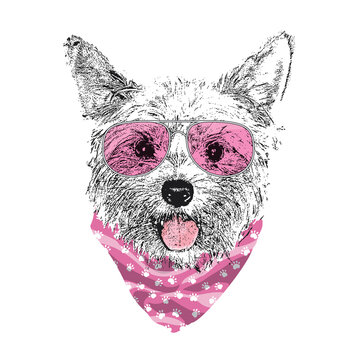Yorkshire Terrier portrait, Cute cool dog in glasses and bandana, Vector illustration