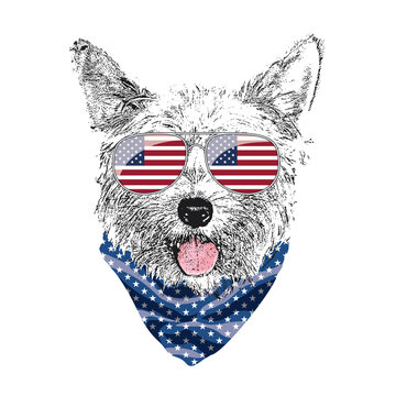 Yorkshire Terrier portrait, Cute cool dog in USA flag glasses and bandana, Vector illustration