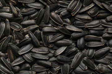 Black sunflower seeds as background, closeup