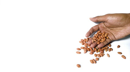 man showing peanuts in his hands isolated on white background, flat landscape with empty space to enter text