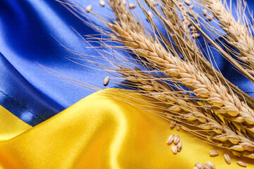 Wheat spikelets and grains on flag of Ukraine, closeup