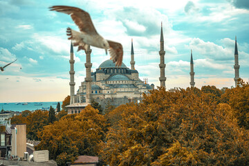 Sultan Ahmet Mosque, also known as Istanbul Blue Mosque, Turkey