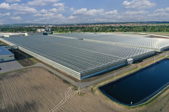 Aerial view of a glass greenhouse for growing tomatoes - Powered by Adobe