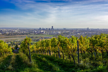 Skyline Of The City Vienna In Austria With Green Hills And Vineyards