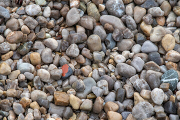 pebbles on the beach