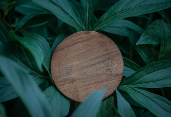Mock up wooden empty round board on the green leaves