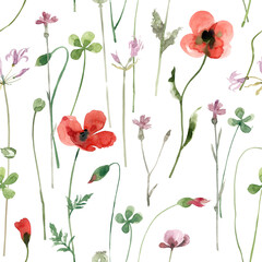 Fototapeta na wymiar Wildflowers and herbs, poppies, clover, carnations seamless watercolor pattern on white background. Bright summer flowers hand-drawn watercolor background.