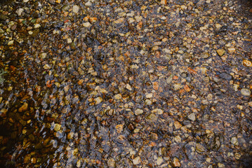 The flow of a mountain river in shallow water over multi-colored stone