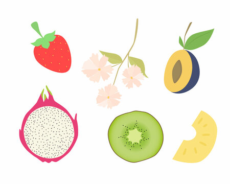 Set of vector images of different fruits. Designer drawing of colorful fruits: dragon fruit, kiwi, flower, strawberry, plum, melon