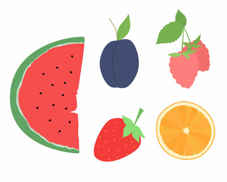 Set of vector images of different fruits. Designer drawing of colorful fruits: watermelon, plum, strawberry, raspberry, orange