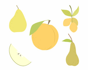 Set of vector images of different fruits. Designer drawing of colorful fruits: peach, cherry plum, pear, apple