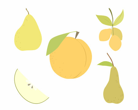 Set of vector images of different fruits. Designer drawing of colorful fruits: peach, cherry plum, pear, apple