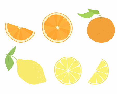 Set of vector images of different fruits. Designer drawing of colorful fruits: whole lemon and orange, slices of lemon and orange, citrus fruits