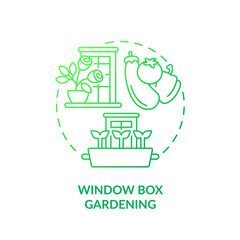 Window box gardening green gradient concept icon. Windosill containers. Growing plants. Gardening method abstract idea thin line illustration. Isolated outline drawing. Myriad Pro-Bold font used