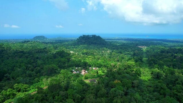 Aerial  magnificent view of the forest at Sao tome,Africa