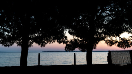 Fototapeta na wymiar a blue sea. A wonderful sky in purple, blue, yellow and orange colors. amazing view from behind the trees. Tree silhouette landscape view. Sea and sky view seen through black pine tree silhouette