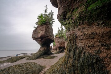 A view of the rock statues at Honeywell Rocks Provincial Park in New Brunswick, Canada