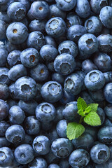 Blueberries pattern full frame viewed from above. Top view