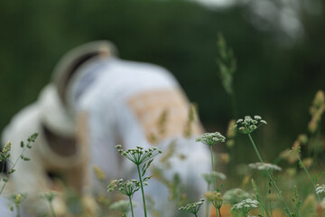 selectively focused flowers with beekeepers out of focus in the background.