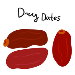 Dry dates. Flat vector illustration on white background