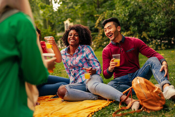 Multiethnic friends picnic in park