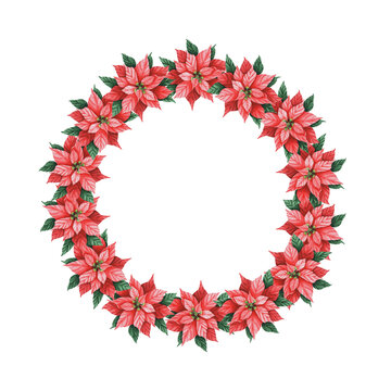 recommend clip art: Wreath with watercolor hand draw flowers of poinsettia. Floral clipart for wedding invitation, sublimation, greeting cards