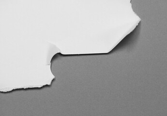 pieces of torn paper texture background