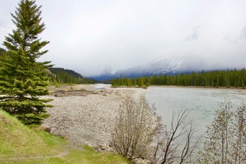 Athabasca River at Jasper - on a foggy day