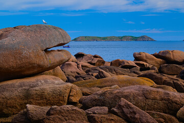 Fototapeta na wymiar Pink rock facing the sea with the presence of a boat and a seagull