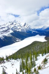 Fototapeta na wymiar Frozen Peyto Lake from Upper Viewpoint, Alberta, Canada