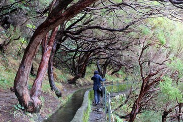 person in the forest