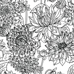 Dahlia Flowers line drawn on a white background. Vector sketch of flowers.